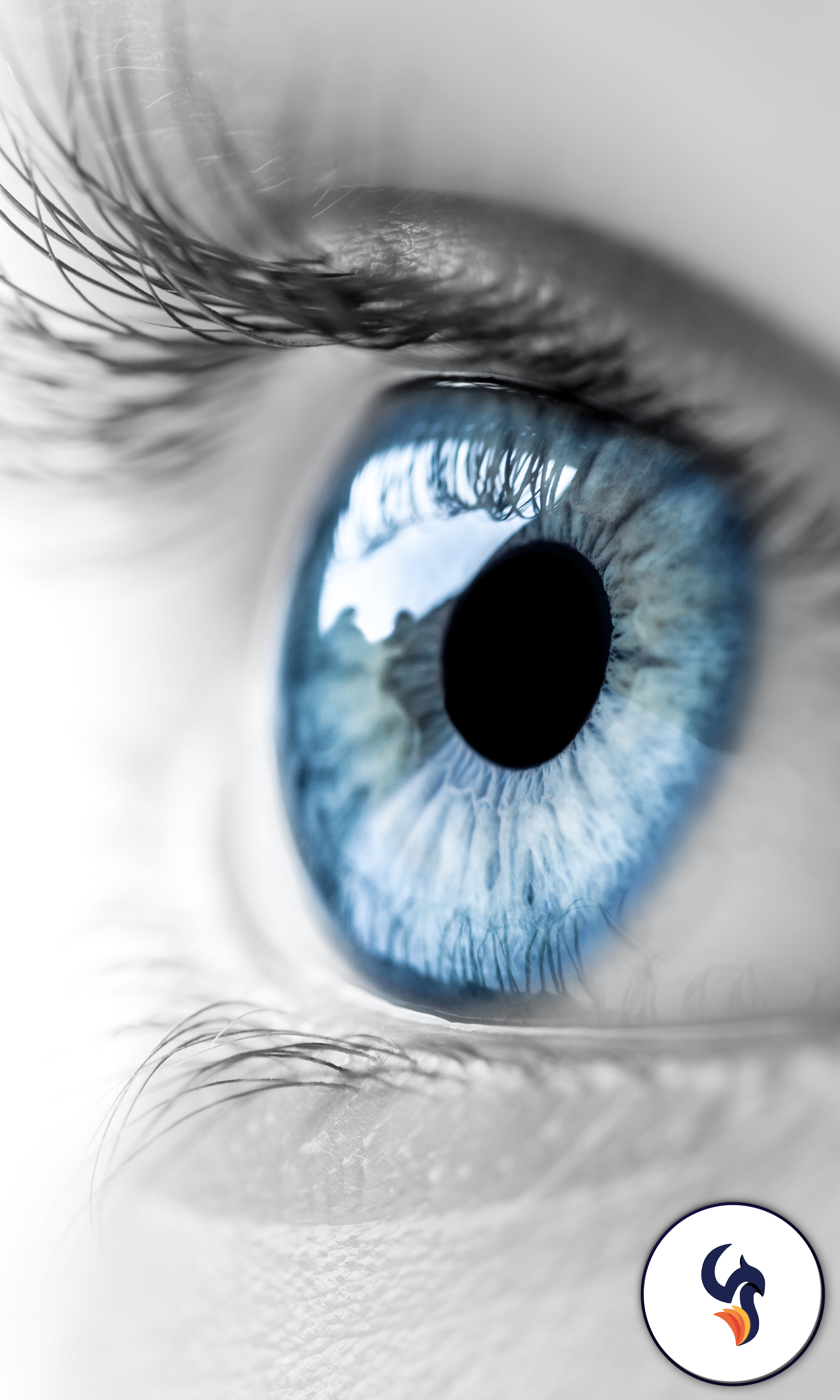 Benefits for EMDR Therapy as an Addition to Y our Ongoing Individual Therapy