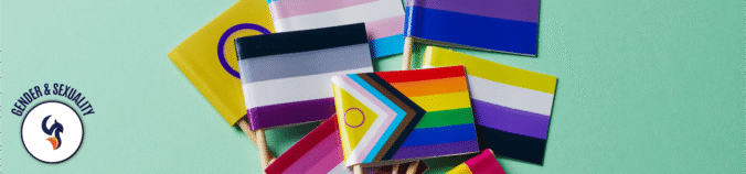 Sexuality, Gender and Trauma Therapy