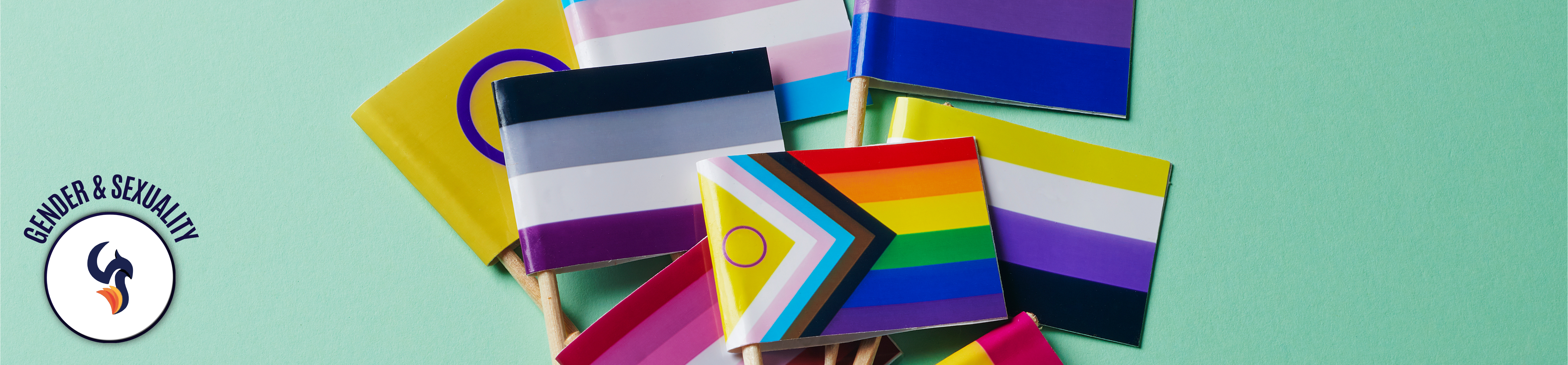 Sexuality, Gender and Trauma Therapy
