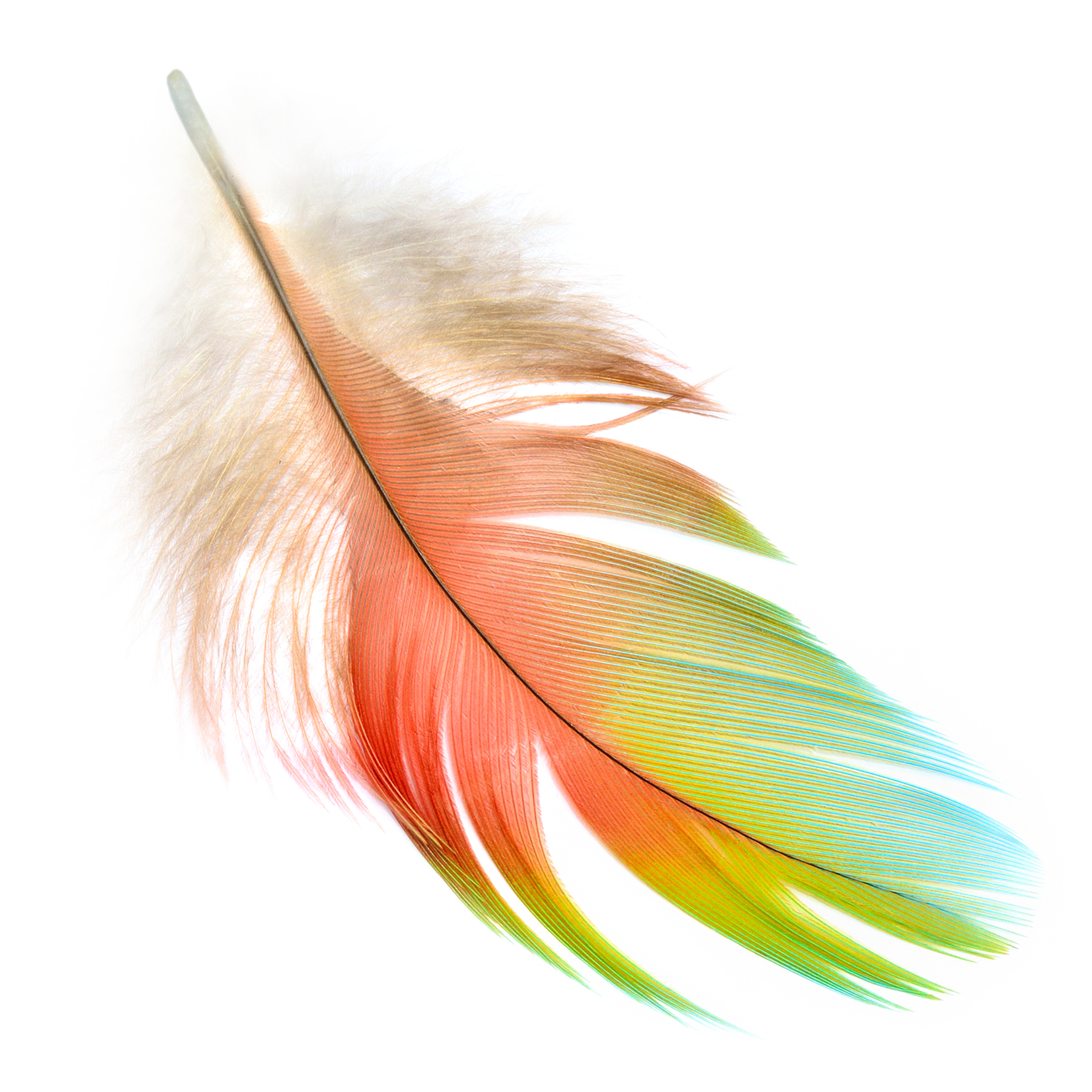 Phoenix Trauma Therapy, EMDR, Therapists in Delaware County, PA