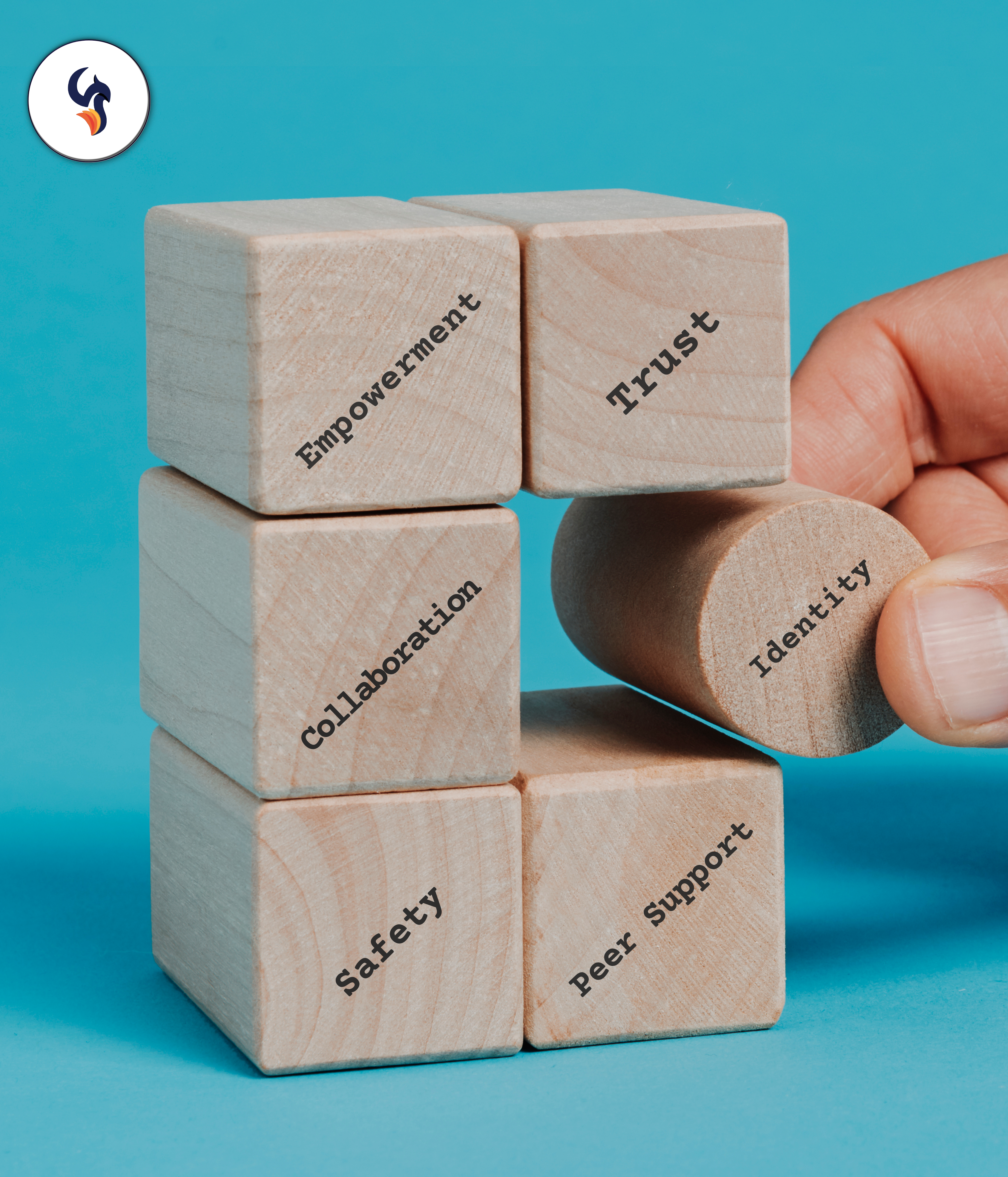 Trauma-informed care principles, the phoenix center training and workshops