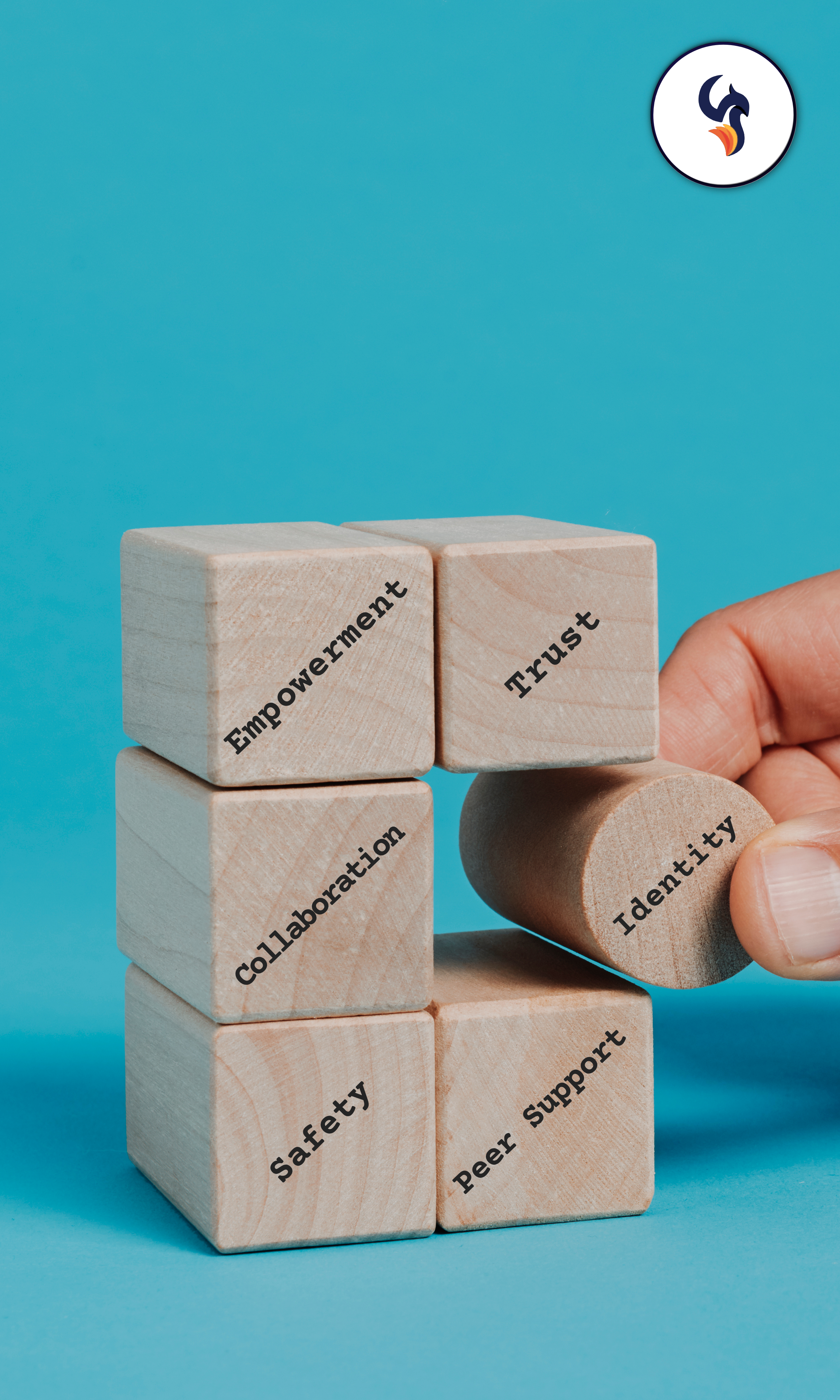 Trauma-informed care principles, the phoenix center training and workshops